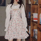 Stetnode Vintage Rose Garden Puff Dress ~