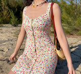 Stetnode Felicity Floral Pastoral Dress ~