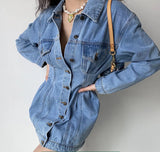 Stetnode Designer Chic Denim Dress