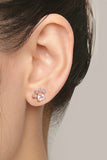 Stetnode Rhinestone Footprint Shape Earrings