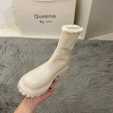 Stetnode Autumn Winter Warm Fur Women Ankle Boots Fashion Elegant Back Zippers Shoes Thick Heel Women's Short Booties