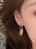 Stetnode Zircon Tassel Star Charm Earrings