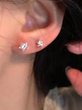 Stetnode Glittering Zircon Mini Star Earring