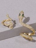 Stetnode Rhinestone Snake Pattern Stud Earring